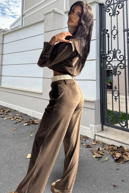 Women's Two-Piece Velvet Set: High-Waisted Trousers and Zippered Blouse, Dark Brown, Cartter
